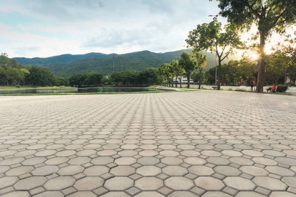 Best Concrete Paver Driveway  in La Habra, CA